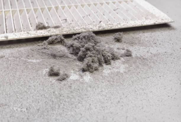 Best Ventilation Cleaning Services  in Diamond, IL