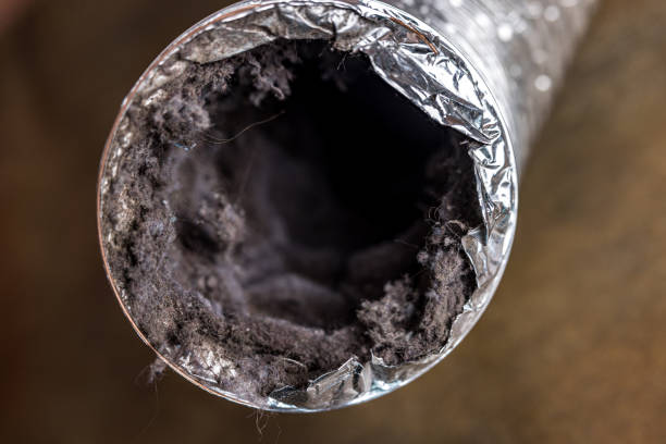 Best Air Duct Cleaning Near Me  in Diamond, IL