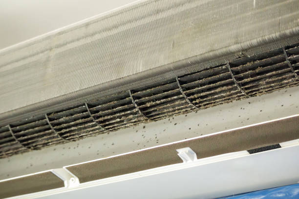 Best Local Air Duct Cleaning Services  in Diamond, IL