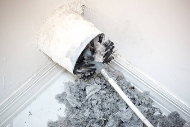 Best Affordable Duct Cleaning Services  in Diamond, IL